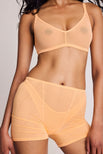 Thumbnail image #4 of Whipped Boxer in Sorbet
