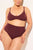 Swim High Waist Bottom in Garnet