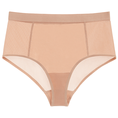 Sieve High Waist Brief in Buff | Women's Full Coverage Briefs ...