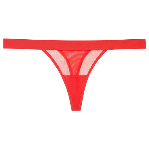 Negative Underwear Sieve Thong Cherry